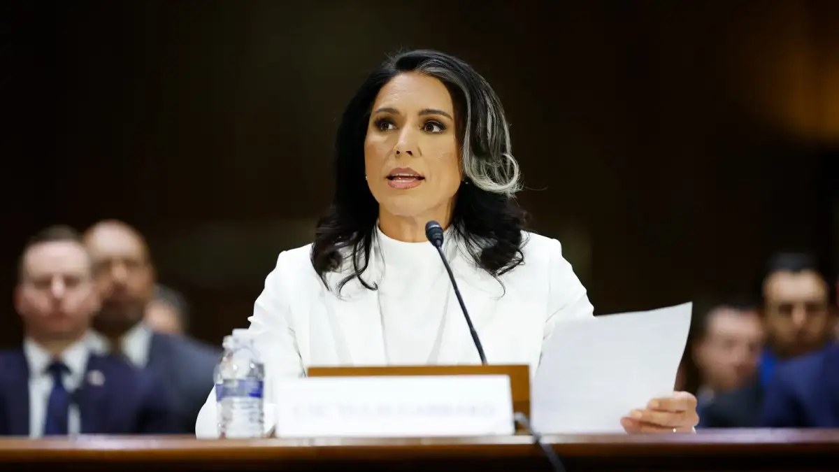 BACKPEDAL! The Guardian Walks Back Tulsi Gabbard Hit-Piece (Check Out Who Their Source Was, It's a HOOT) - 1