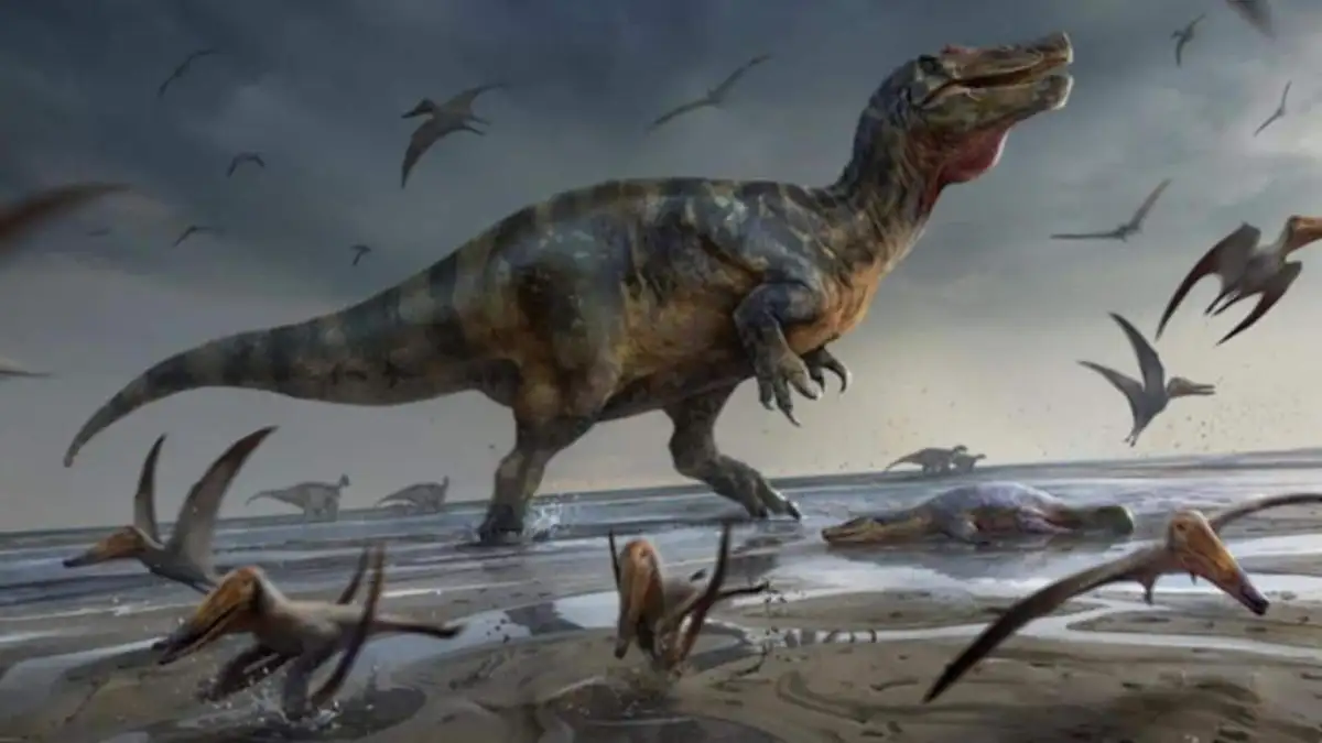 Where was YOUR home at the time of the dinosaurs? Interactive chart reveals how Earth's continents have shifted from 320 million years ago to today - 4