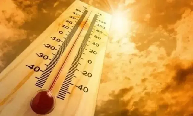 Kerala Disaster Management Authority issues heat warning in State - 2
