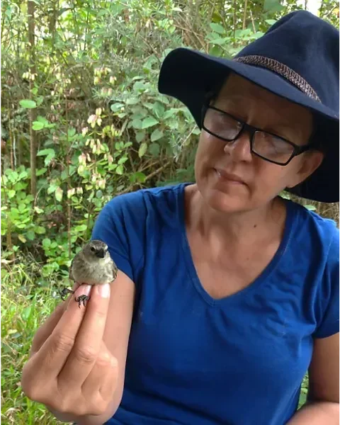 Floreana giant tortoise reintroduced to Galápagos island after almost 200 years - 3