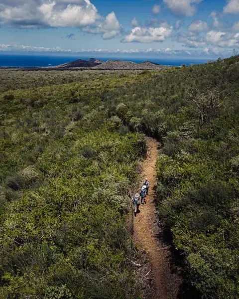 Floreana giant tortoise reintroduced to Galápagos island after almost 200 years - 2