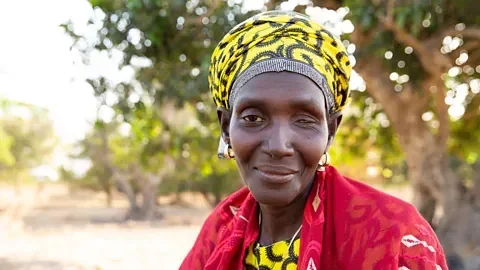 Saltwater is closing in on coastal groundwater, putting billions and food supplies at risk - 3