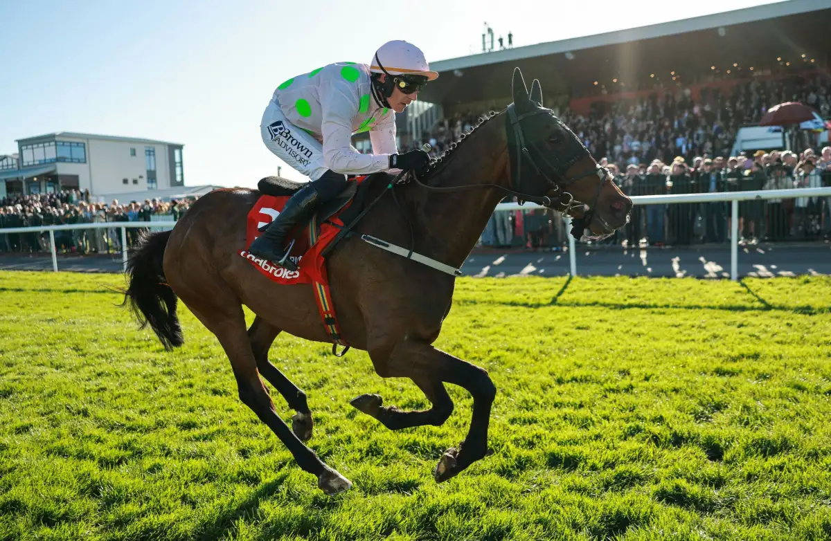 Gaelic Warrior seals Gold Cup double at Punchestown - 4