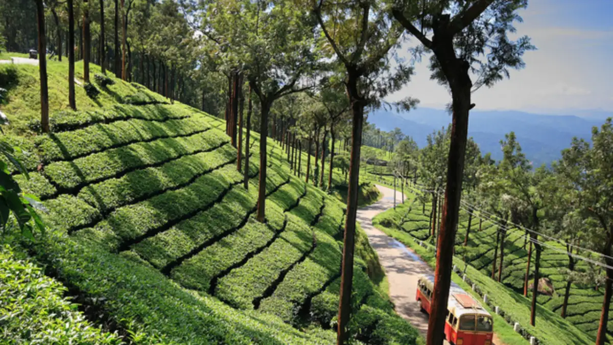 Champions League review: a stone-cold classic, Díaz’s perfect timing and a defensive puritan - 1