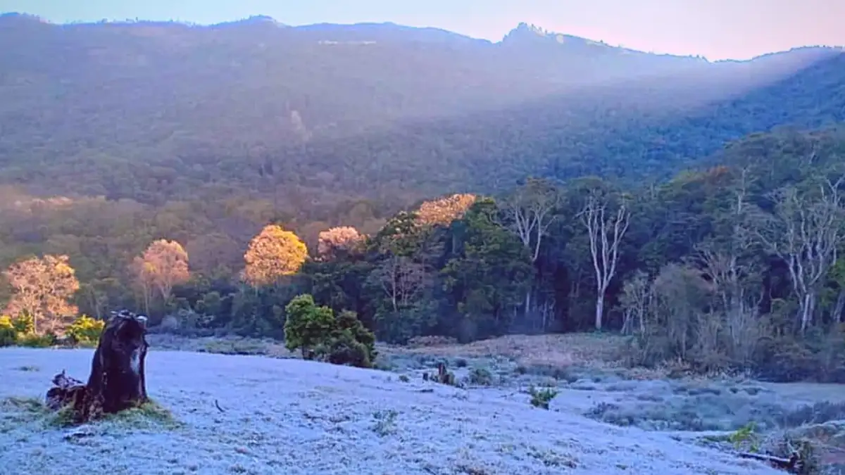 Champions League review: a stone-cold classic, Díaz’s perfect timing and a defensive puritan - 2