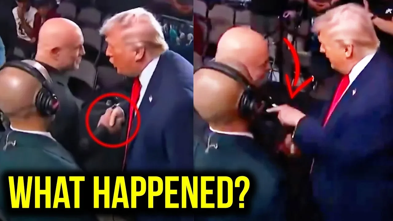 Trump Faces Rogan After Taking Public Beating From Him - 2