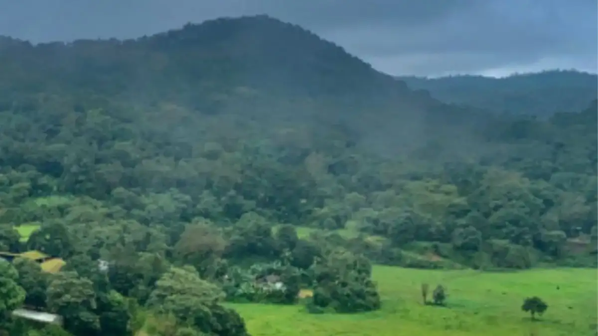 Kodagu tourist assault case: Homestays, bed-and-breakfast properties to be brought under GPS and police monitoring - 1