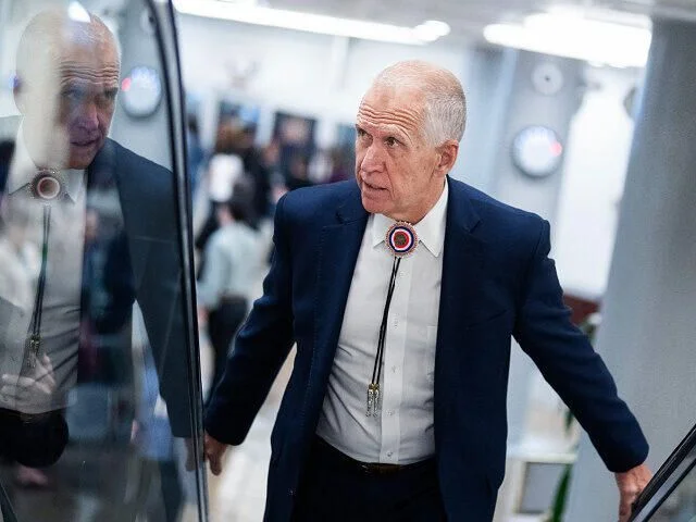 Sen. Tillis Urges Senate to Cancel ICE, Border Patrol Vote to Boost Cornyn's Reelection Bid - 4