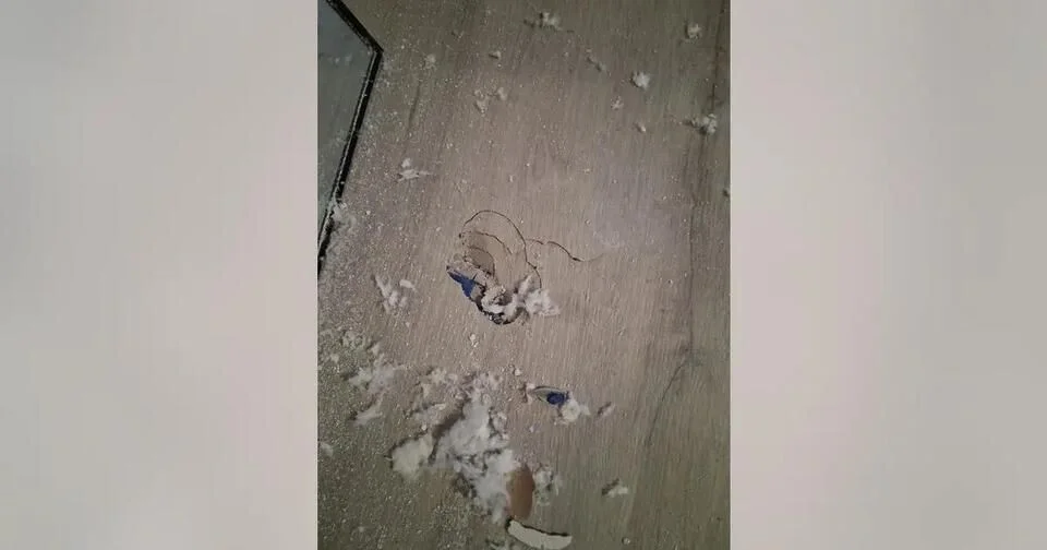 Suspected meteorite crashes into Houston woman's home amid citywide reports of 'boom'... - 3