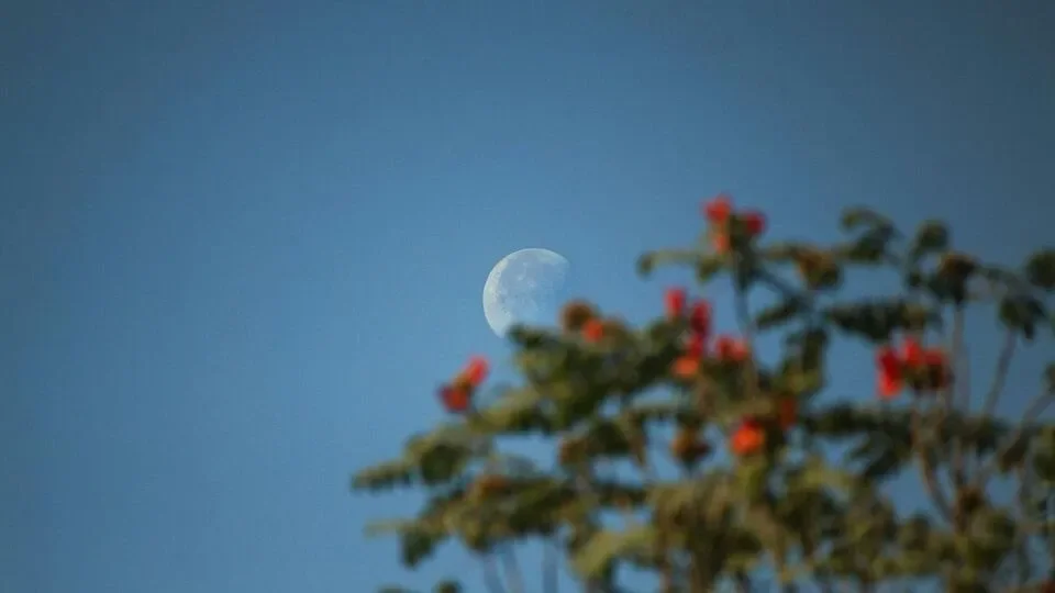 The moon's formation still remains a mystery in many ways - 3