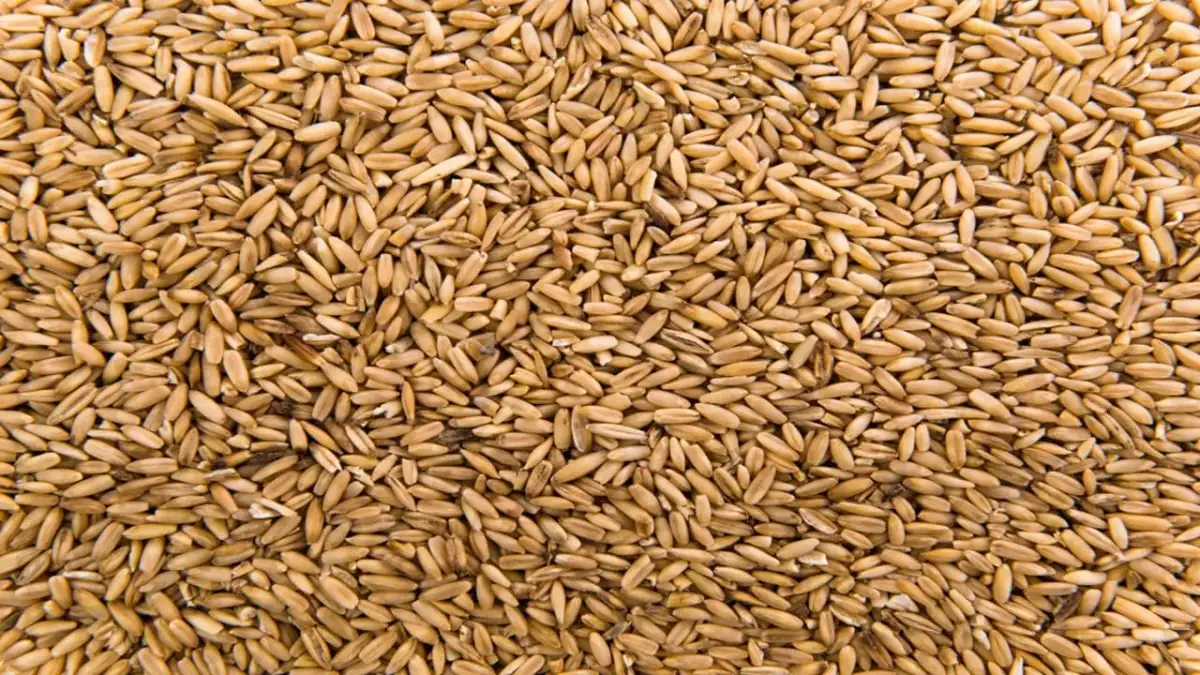 Government estimates record production of foodgrains, dip in soybean cultivation - 3