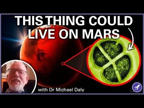 Experiment Shows Possibility of Martian Microbes Hitching a Ride to Earth - 4