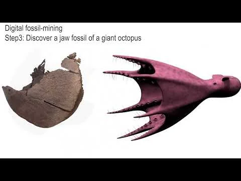 The real-life KRAKEN: Giant octopuses the same size as sperm whales roamed the oceans 72 million years ago, study finds - 1