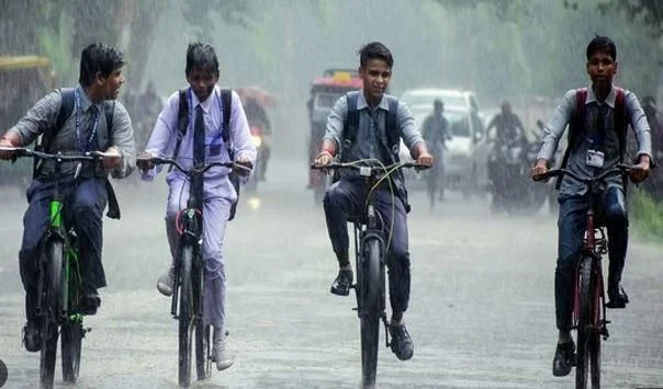Schools shut in five Mizoram districts as heavy rain, winds lash State - 1