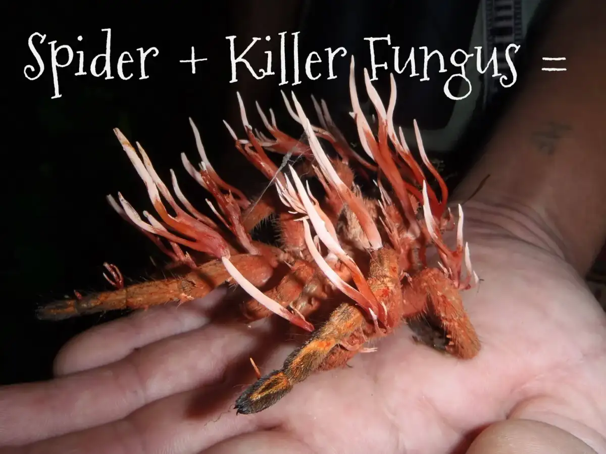 Luke Kennard's last-second three-pointer lifts Lakers to ninth consecutive win - 4