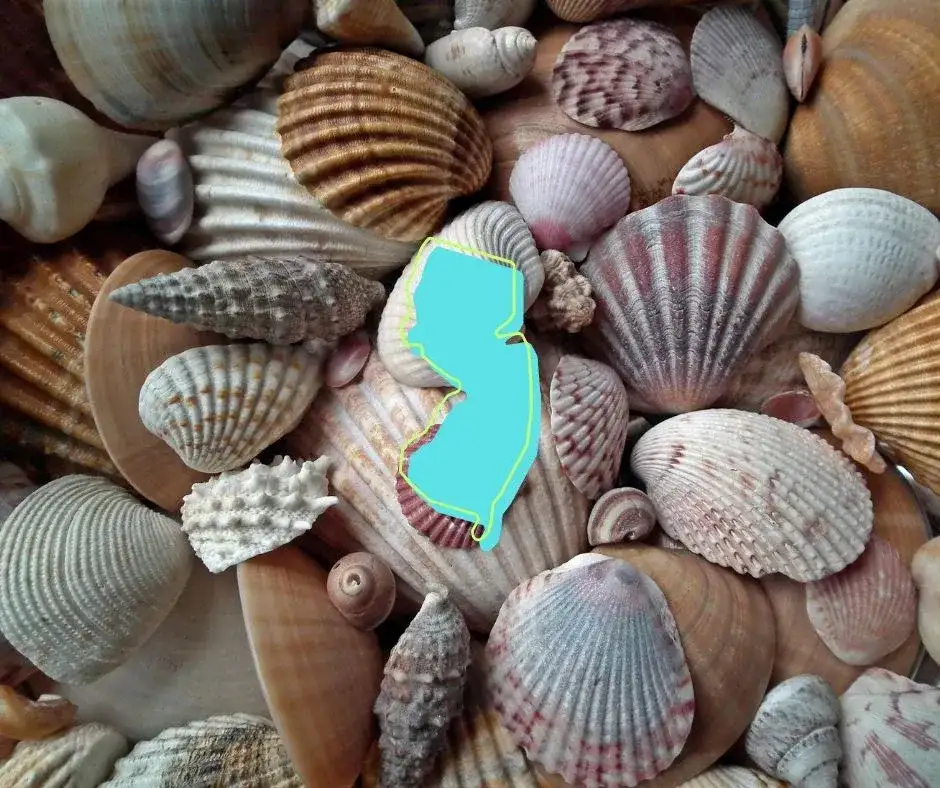 Daylight Fireball Meteor Seen Across Five States as 30,000 MPH Object Streaks Over East Coast - 2