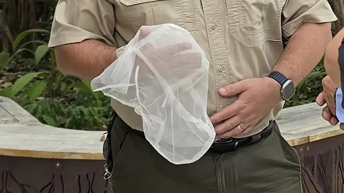 Australia news live: former children’s commissioner delivers scathing indictment of spit hoods still being used on 10-year-olds in NT - 4