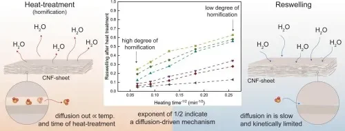 New insights into hornification could strengthen the future of paper production - 1