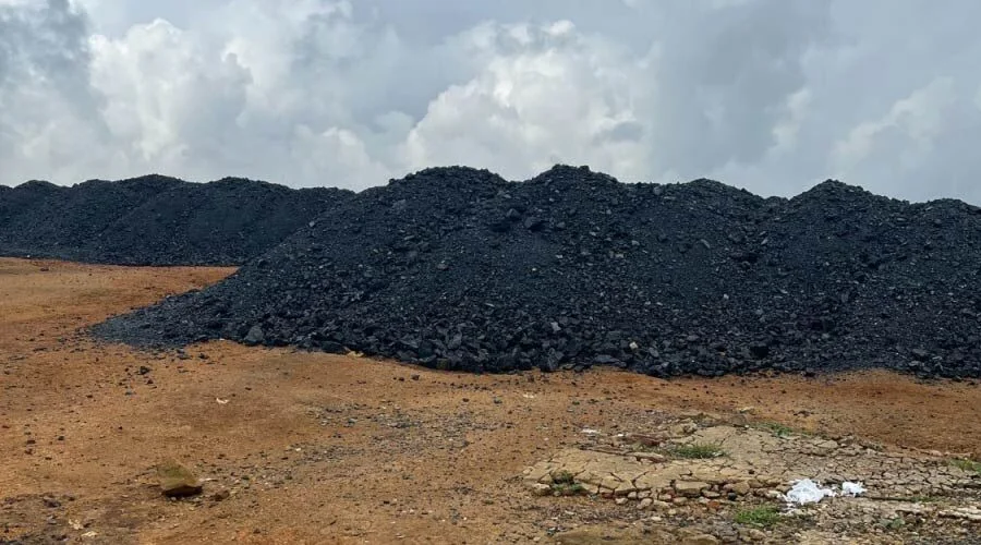 Meghalaya police told to hunt down financiers of illegal coal trade - 2