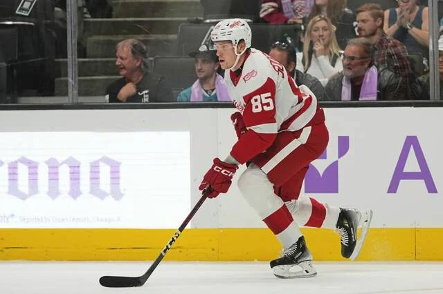Who is Elmer Soderblom? Penguins trade for tall youngster from Red Wings - 3