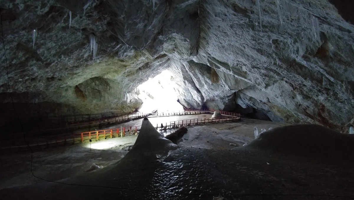 Bacterial strain from 5,000-year-old cave ice shows resistance against 10 modern antibiotics - 3