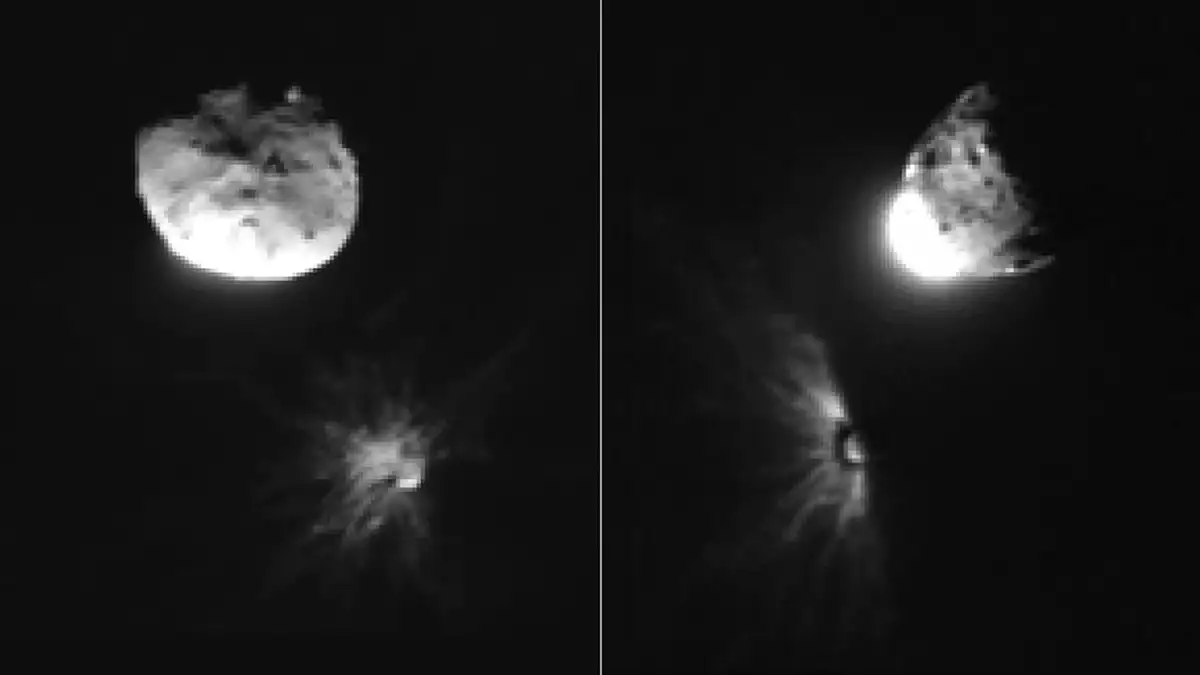 Bulldogs get scalp as Lions premiership captain faces nervous MRO wait - 4