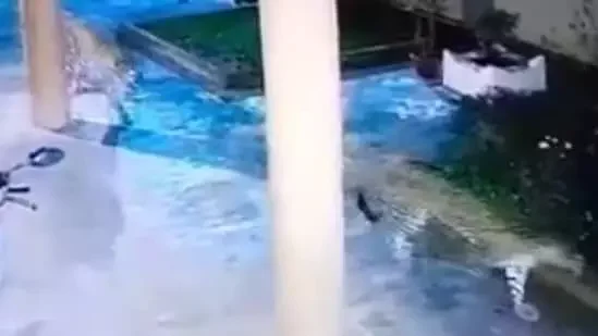 Leopard spotted in Anjanapura on Feb 2 night - 3