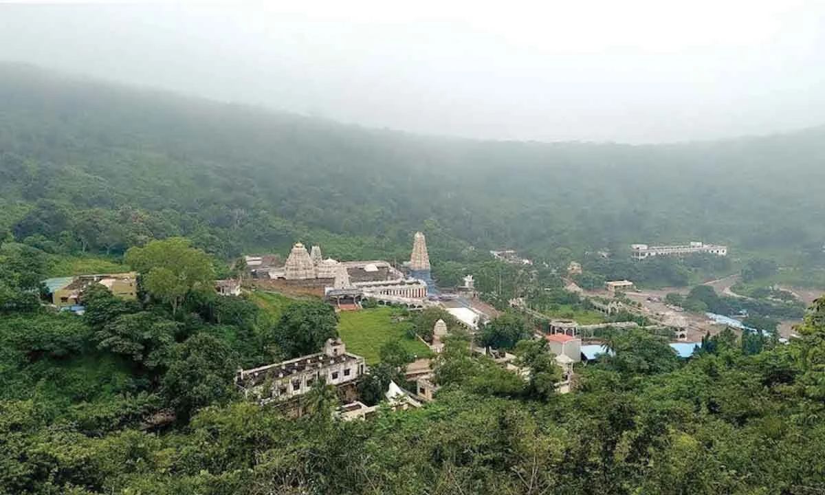 Devotees will be allowed darshan from 3 a.m. for annual Chandanotsavam at Simhachalam temple - 3