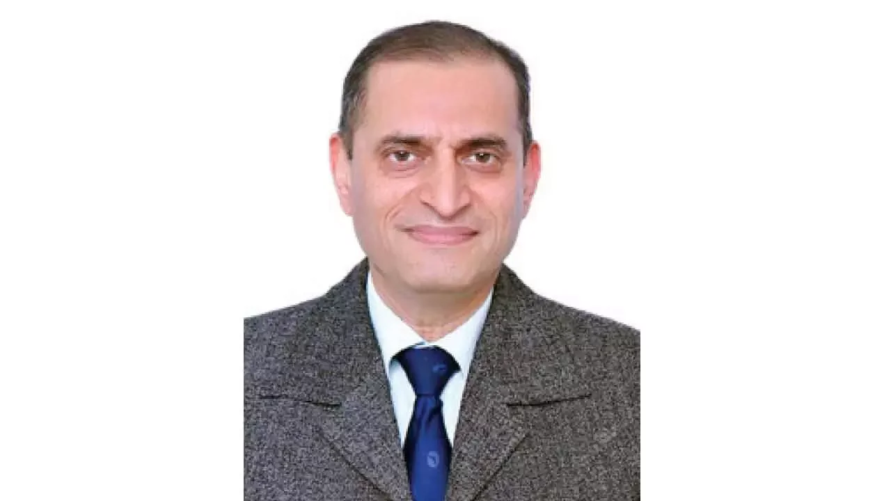 Ancient hedge laying used to boost biodiversity - 2