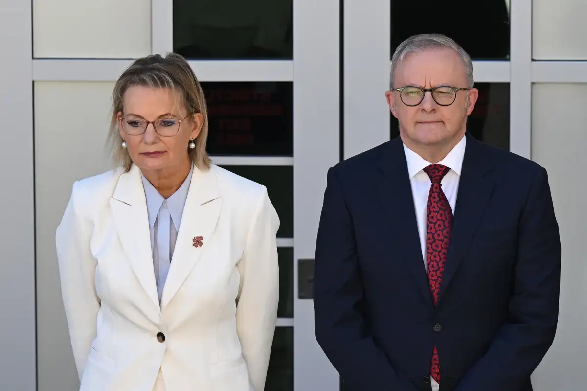 Australia news live: Littleproud confirms Nationals will take on Liberals in byelection for Ley’s seat - 4