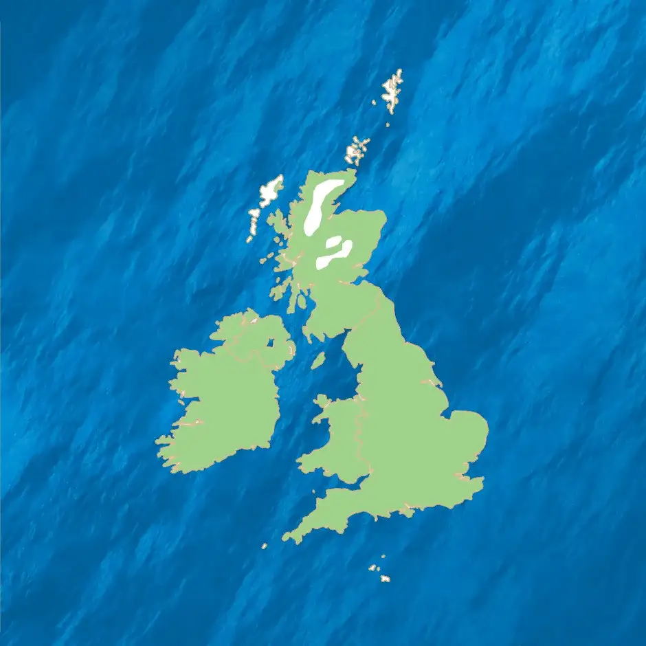 Birdwatch: Blue tits are feisty and fascinating but often taken for granted - 3