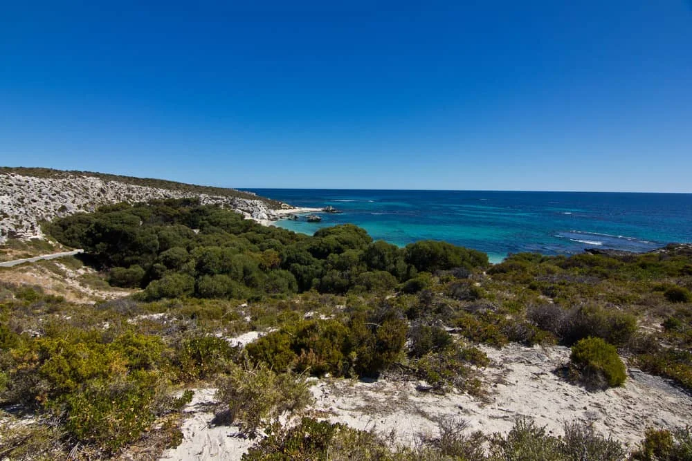 Forecast rough seas put iconic Rottnest Channel Swim in doubt - 4