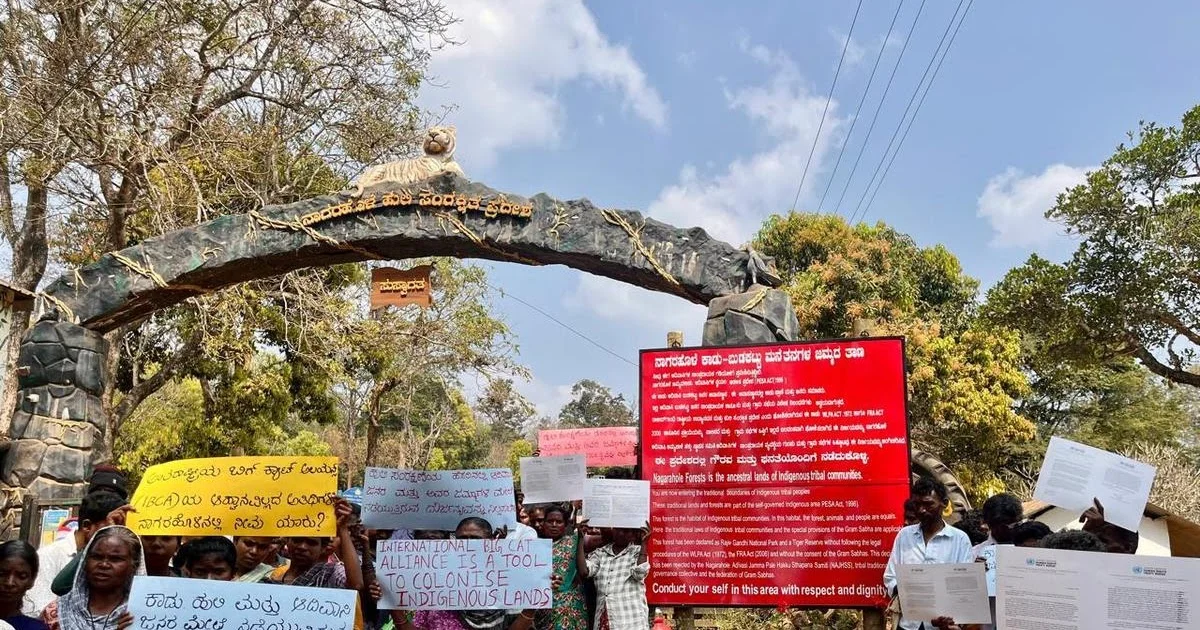 Tribals of Nagarahole call for continuing safari ban, condemn International Big Cat Alliance - 1
