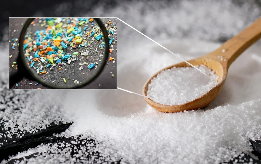 Water, salt and sugar packs must contain warning on presence of micro or nano plastics: Madras High Court - 3