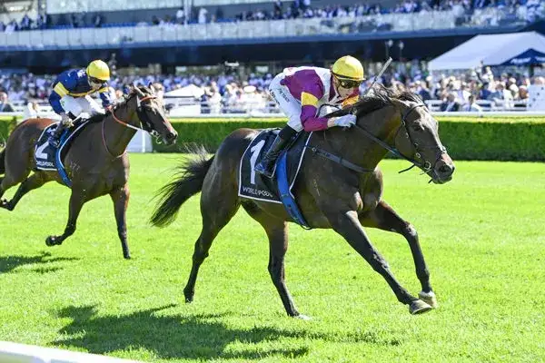 NSW refills diesel stocks - 1