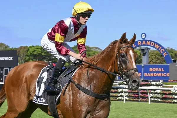 NSW refills diesel stocks - 2