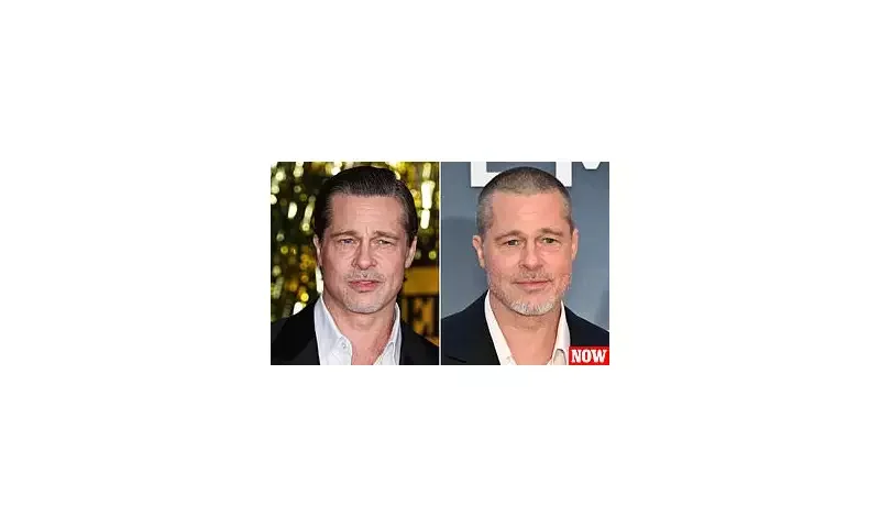 Did Brad Pitt Undergo Plastic Surgery? Top Surgeon Claims Star Had 'Feminising' Surgery to Keep Youthful Look - 1
