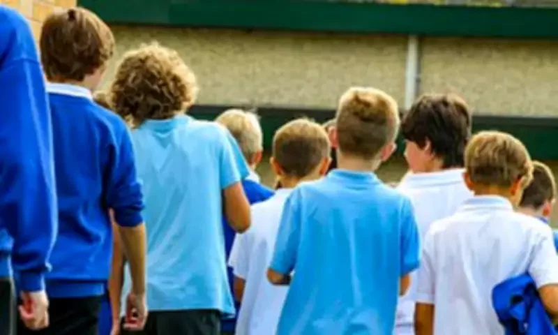Young boys 'have a lack of role models' as report urges men to 'step up' for their community as family units break down - 2