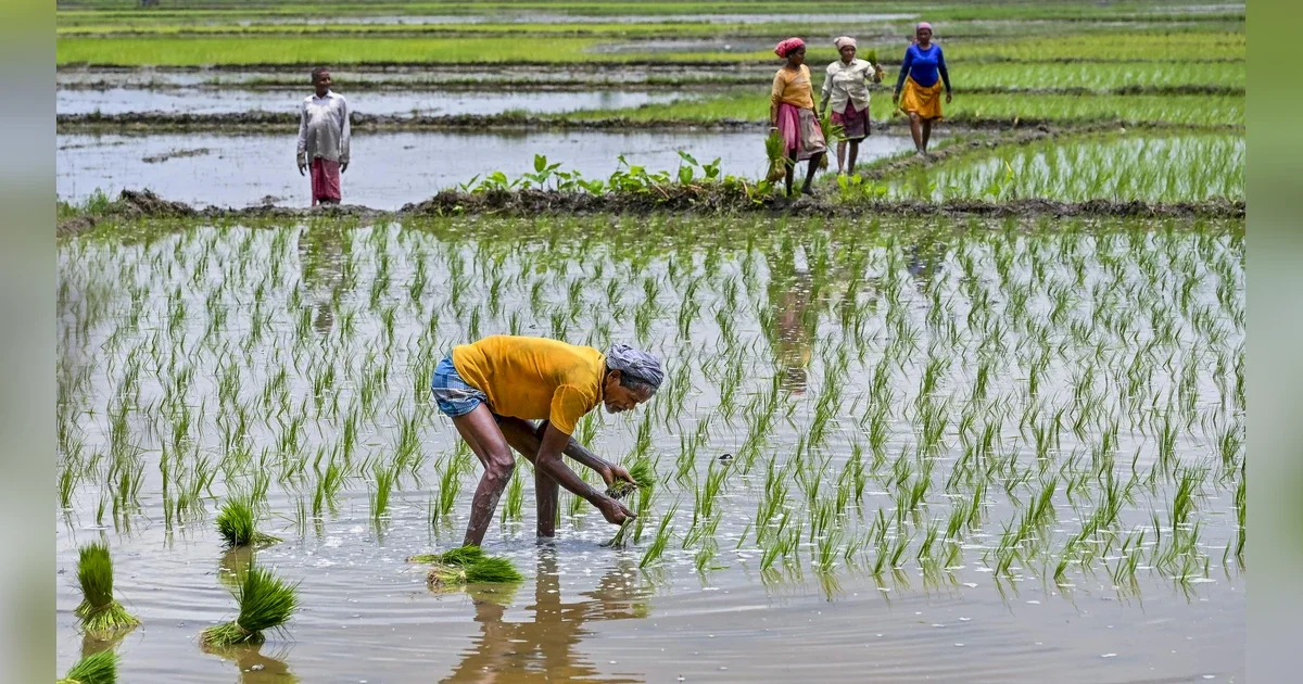 PM Kisan 22nd instalment update: Is farmer ID mandatory to receive Rs 2,000 payment? - 2