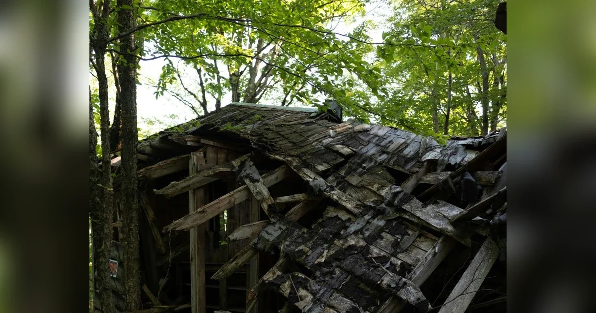 Two killed, 13 injured in building collapse in Kota`s Indravihar area | Video - 2