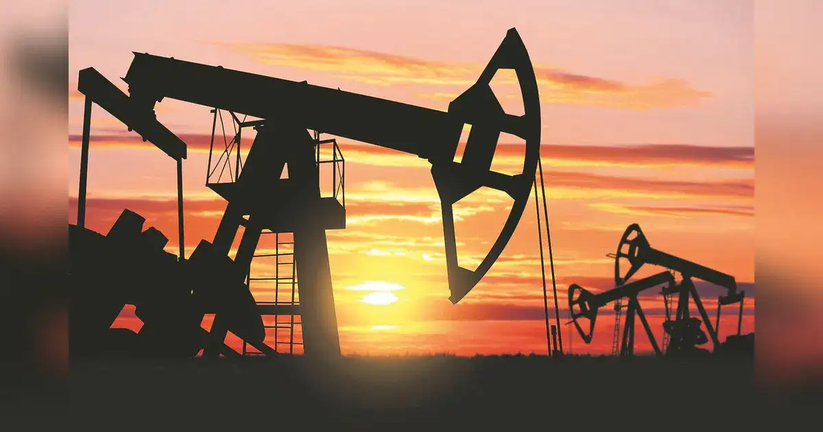 India recieved requests for energy supplies from Bangladesh, Sri Lanka and Maldives, says MEA - 1