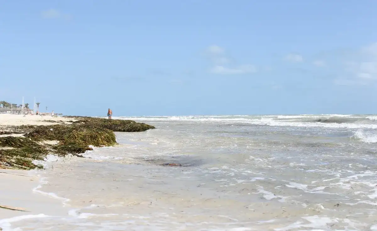 Sea levels around Africa are rising faster than the global average: What's behind this alarming trend - 1