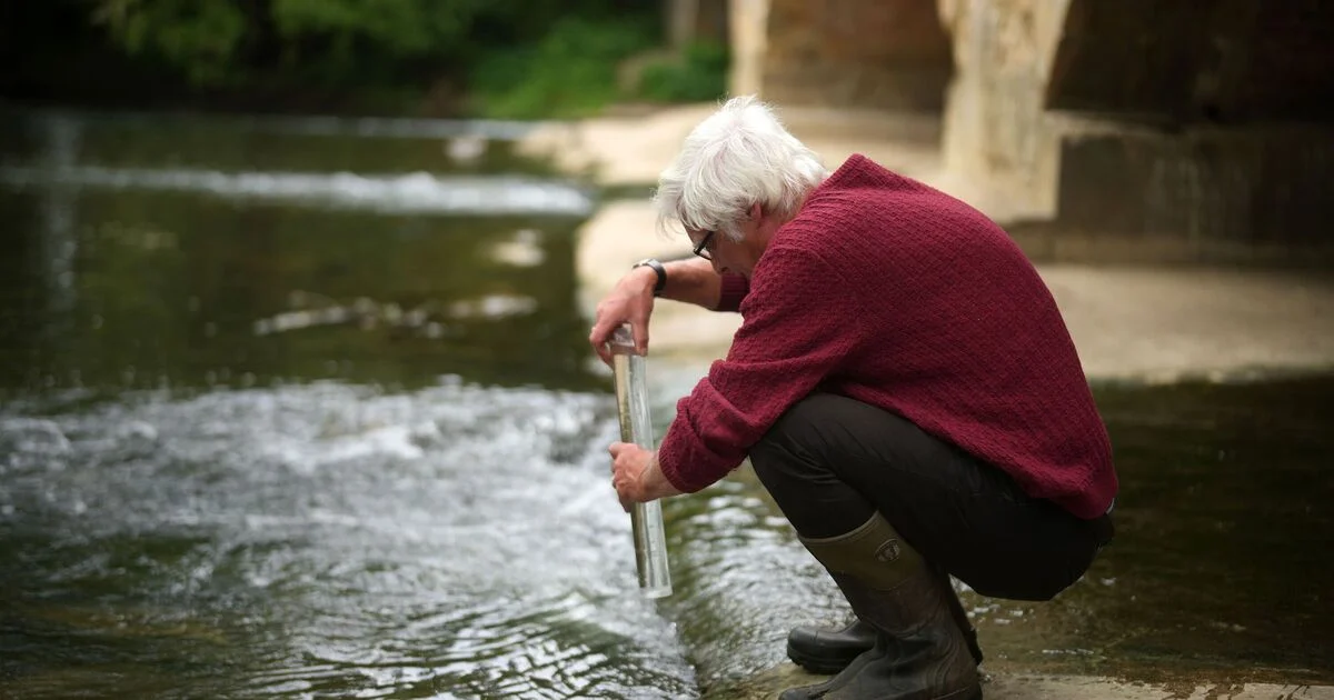 Londoners to get first official bathing area on River Thames at this idyllic spot - 4