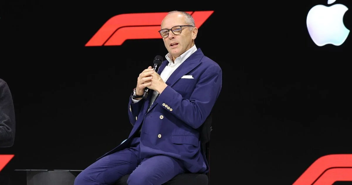 'Keep calm,' says Domenicali on criticism of new F1 rules - 3