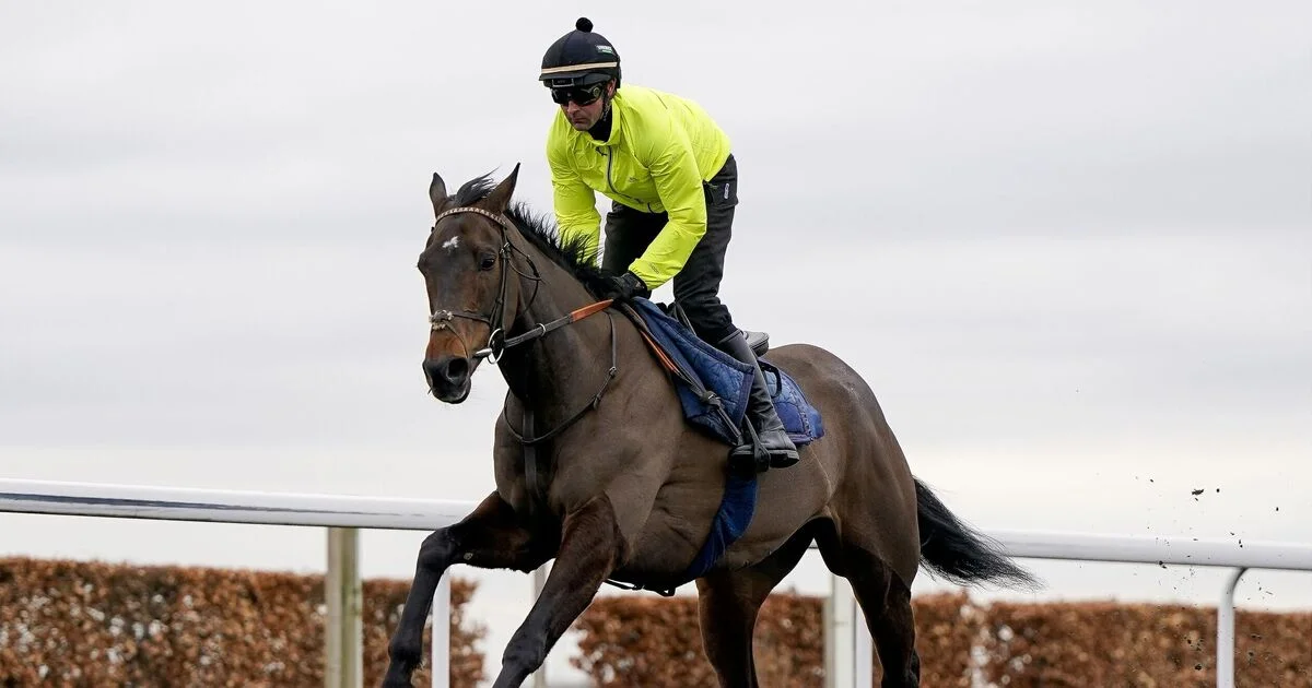 BREAKING: Constitution Hill race result at Southwell confirmed after making Flat debut - 1