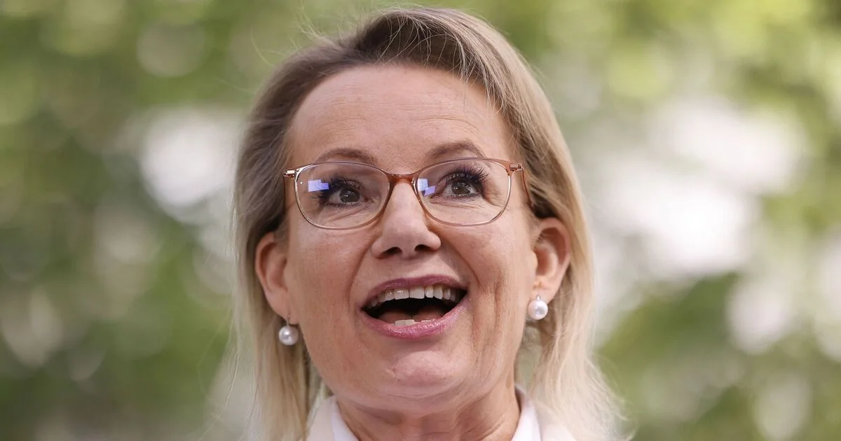 Ley’s shadow immigration minister ‘never agreed’ to unreleased Liberal plan to ban migrants from Gaza and Somalia - 1