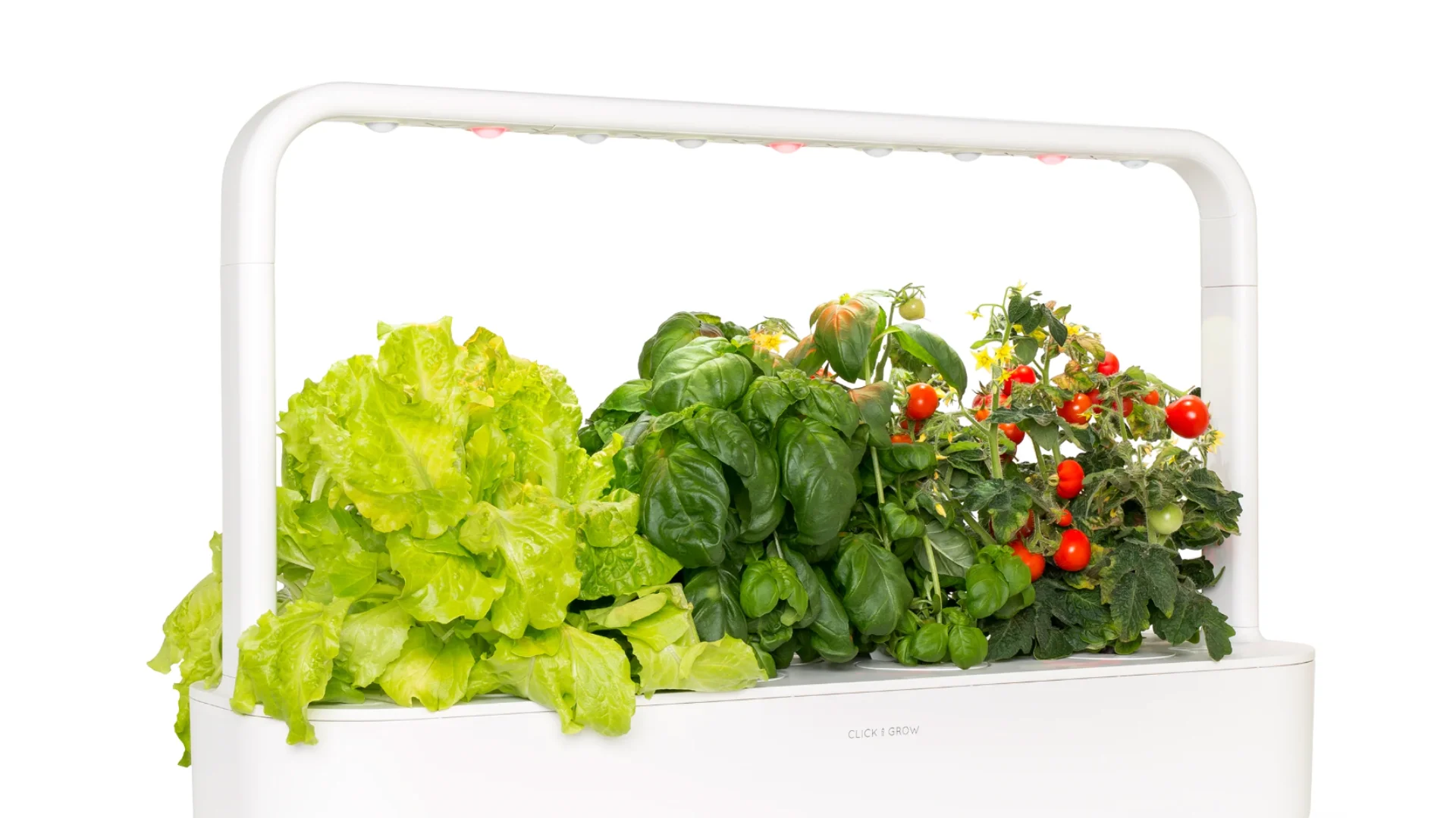 This is the weirdest Matter smart home device I’ve seen so far - 3