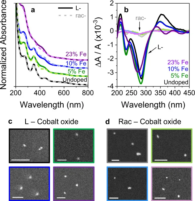 Water molecules actively reshape chiral catalyst structure, research shows - 1