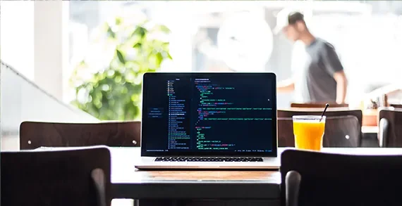 6 niche programming languages developers secretly love - 1