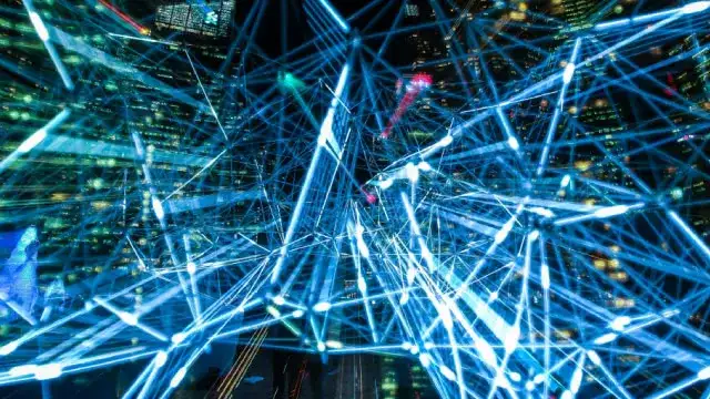 Trump posts support for Palantir as stock plunges after 'Big Short' investor blasted the company - 1